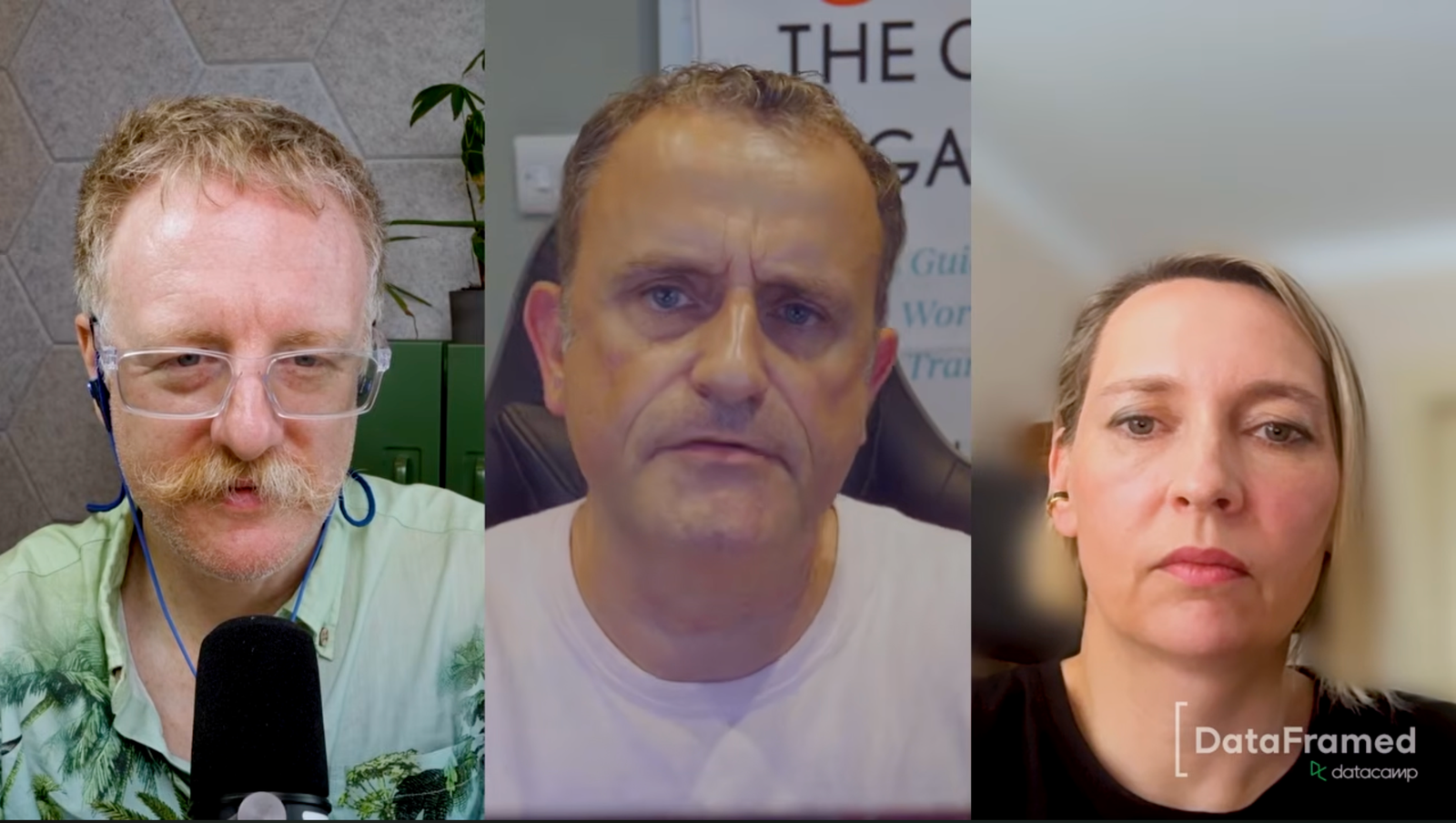Drei Teilnehmende im Videogespräch des DataCamp-Podcasts DataFramed